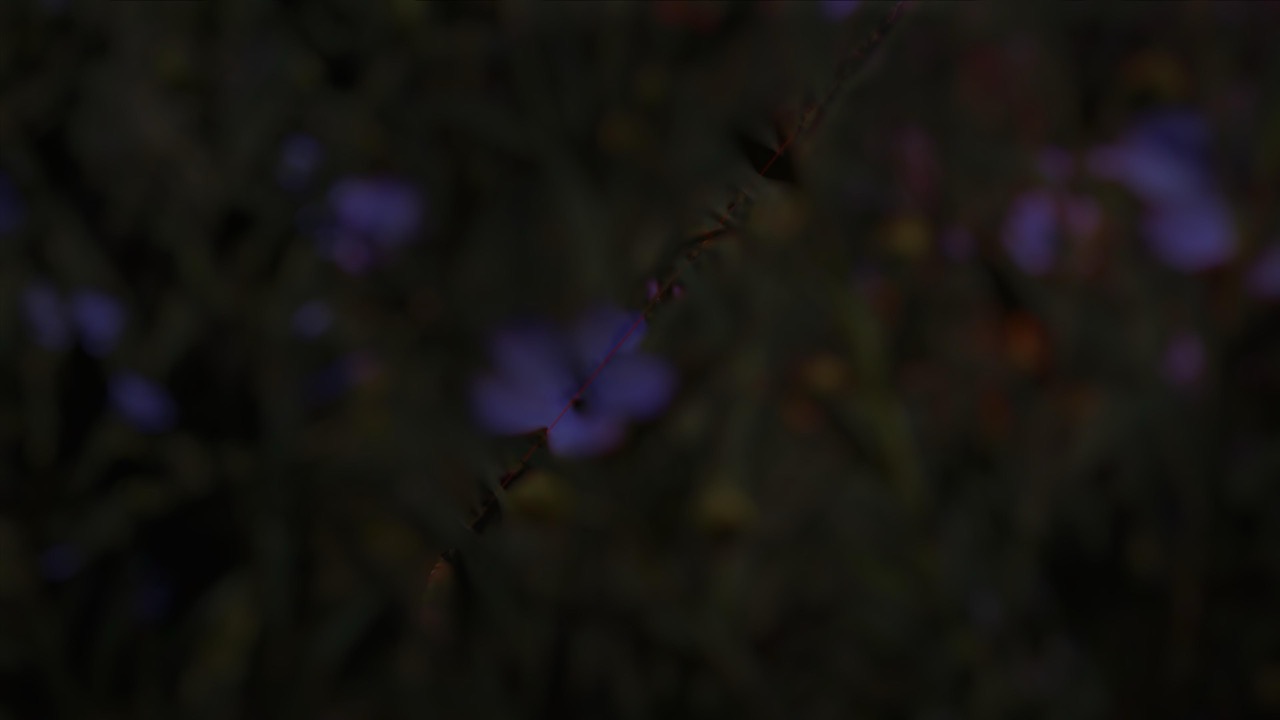 Studies on Breaking Immersion